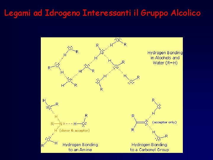 Legami ad Idrogeno Interessanti il Gruppo Alcolico 