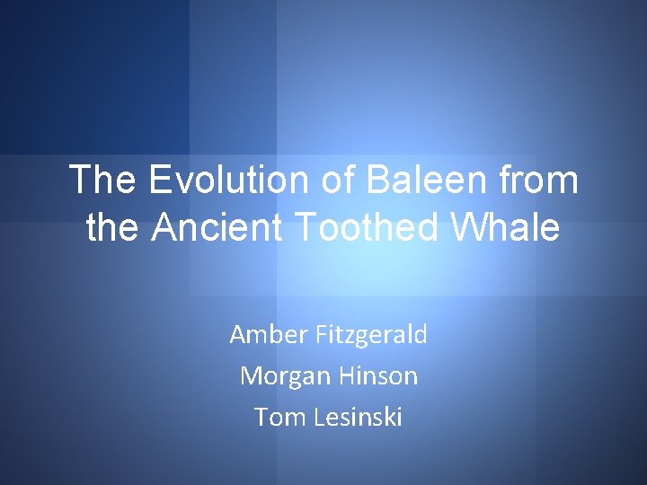 The Evolution of Baleen from the Ancient Toothed Whale Amber Fitzgerald Morgan Hinson Tom
