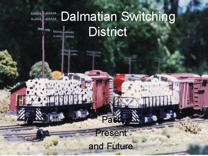 Dalmatian Switching District Past Present and Future 