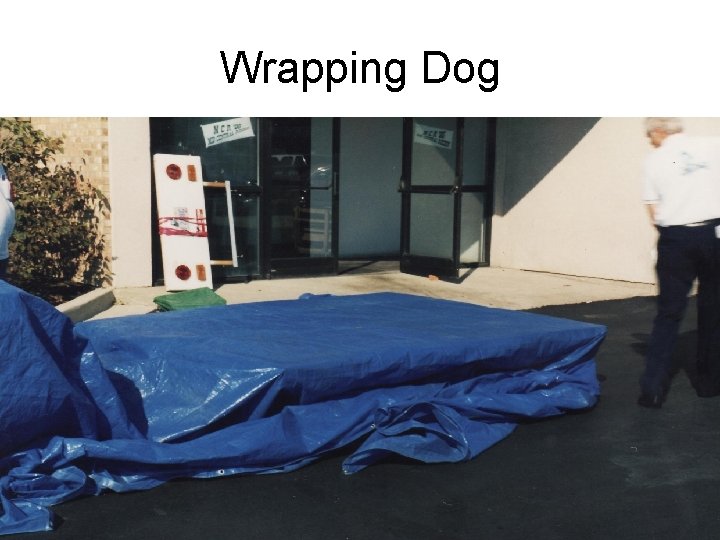 Wrapping Dog 