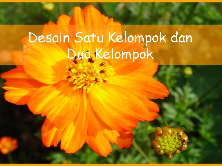 Desain Satu Kelompok dan Dua Kelompok 