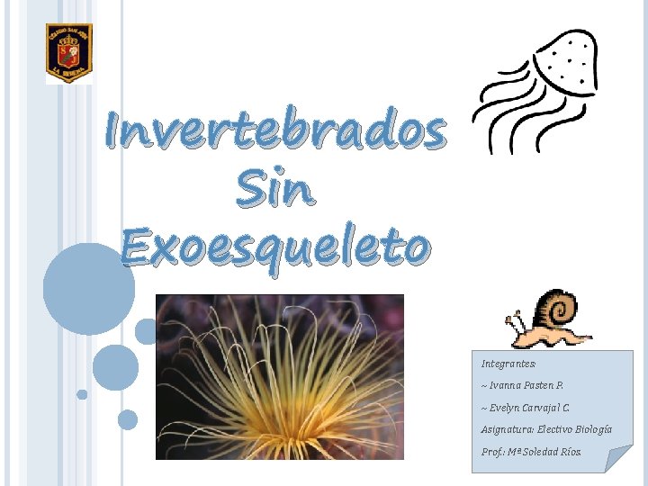 Invertebrados Sin Exoesqueleto Integrantes: ~ Ivanna Pasten P. ~ Evelyn Carvajal C. Asignatura: Electivo