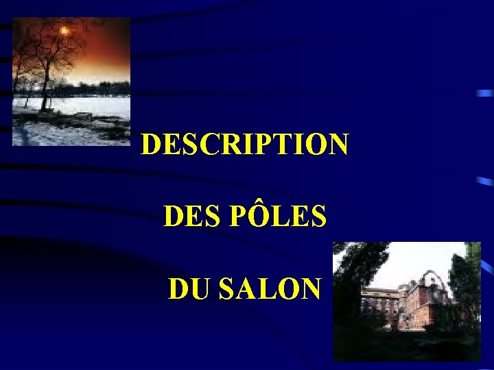 DESCRIPTION DES PÔLES DU SALON 