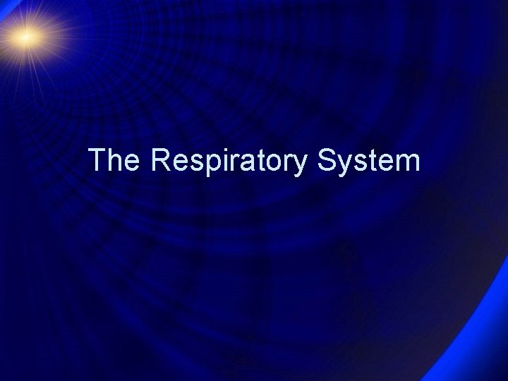 The Respiratory System 