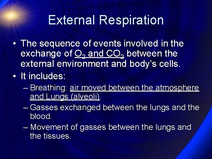 External Respiration • The sequence of events involved in the exchange of O 2