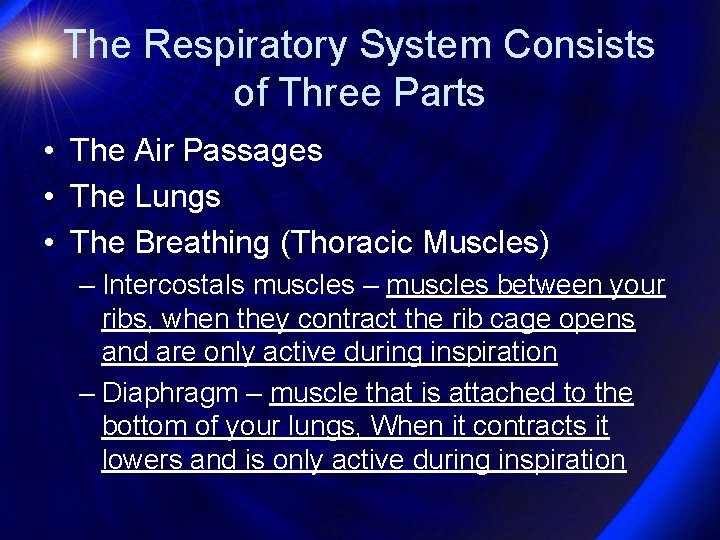 The Respiratory System Consists of Three Parts • The Air Passages • The Lungs