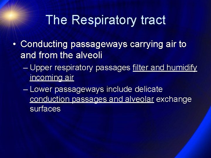 The Respiratory tract • Conducting passageways carrying air to and from the alveoli –
