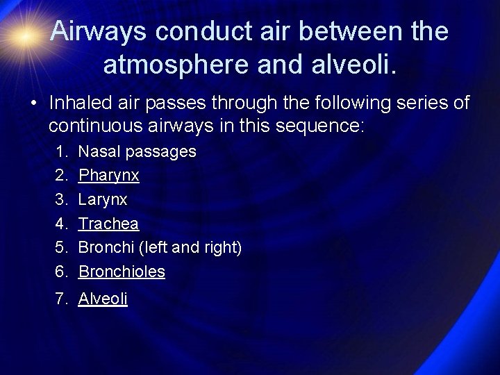 Airways conduct air between the atmosphere and alveoli. • Inhaled air passes through the