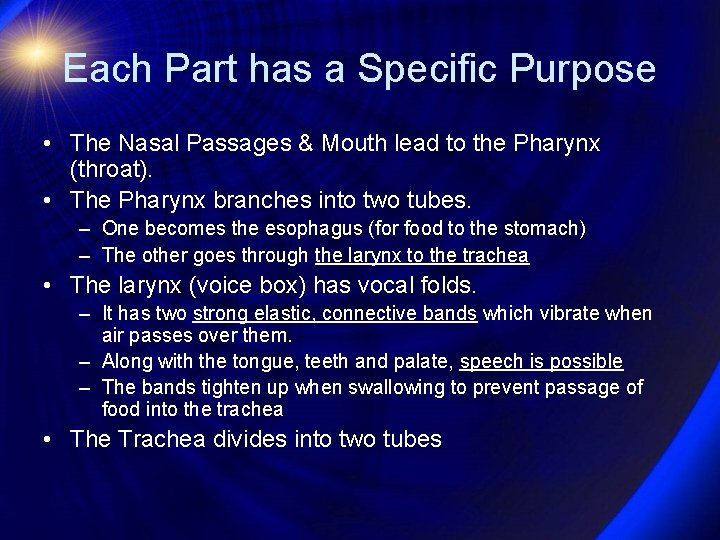 Each Part has a Specific Purpose • The Nasal Passages & Mouth lead to