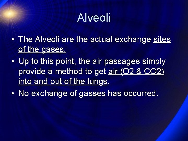 Alveoli • The Alveoli are the actual exchange sites of the gases. • Up