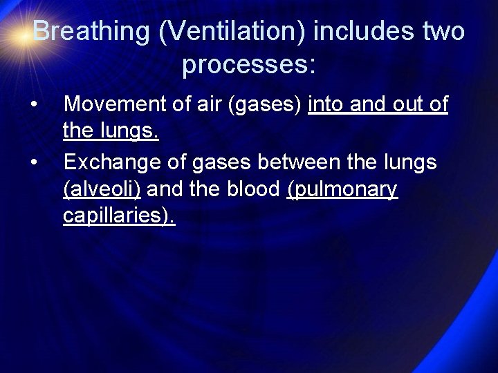 Breathing (Ventilation) includes two processes: • • Movement of air (gases) into and out
