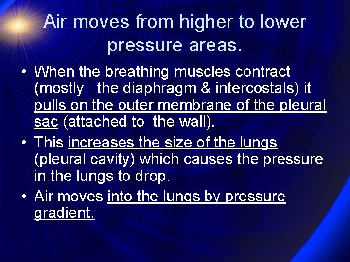 Air moves from higher to lower pressure areas. • When the breathing muscles contract