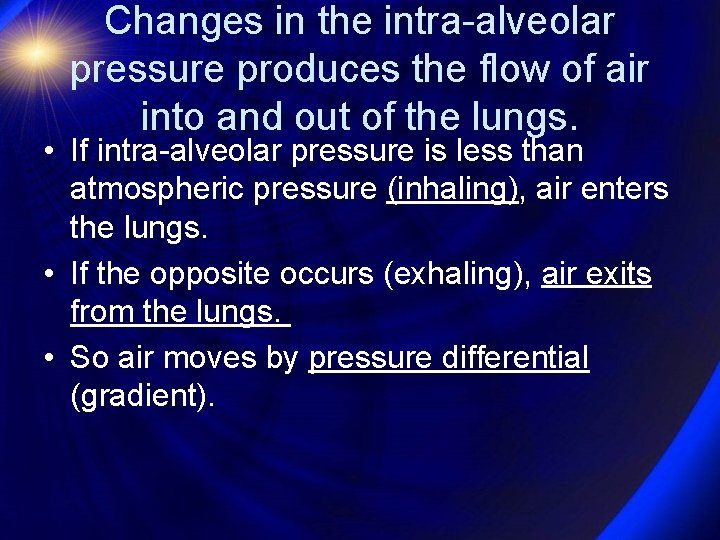 Changes in the intra-alveolar pressure produces the flow of air into and out of