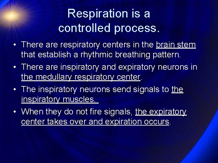 Respiration is a controlled process. • There are respiratory centers in the brain stem