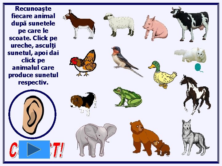 Recunoaşte fiecare animal după sunetele pe care le scoate. Click pe ureche, asculţi sunetul,