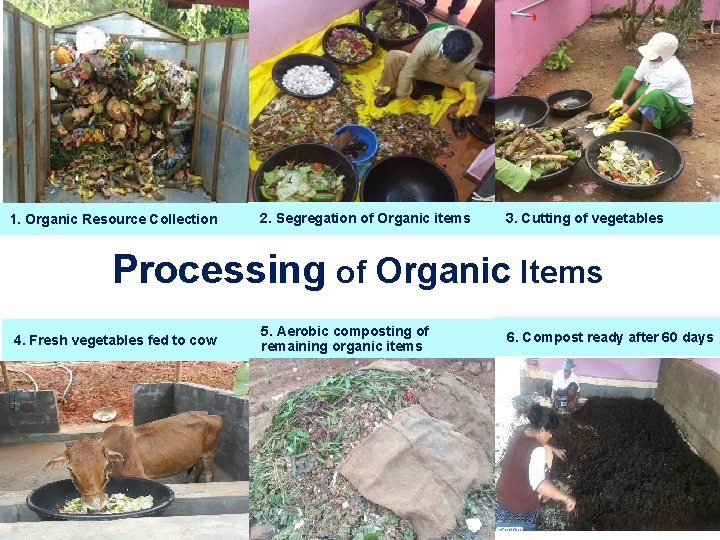 1. Organic Resource Collection 2. Segregation of Organic items 3. Cutting of vegetables Processing