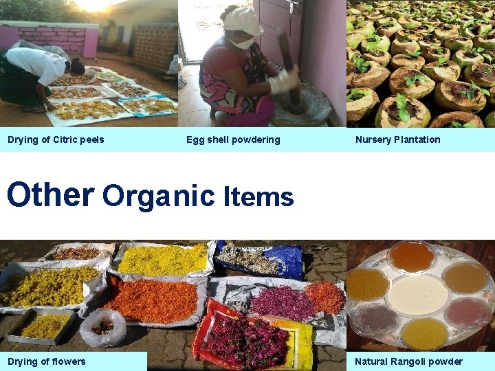 Drying of Citric peels Egg shell powdering Nursery Plantation Other Organic Items Drying of