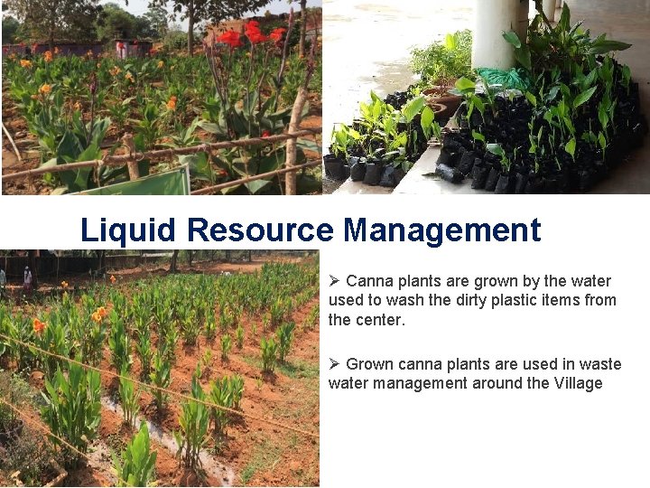 Liquid Resource Management Ø Canna plants are grown by the water used to wash