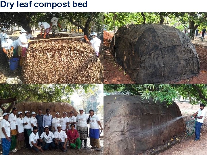 Dry leaf compost bed 