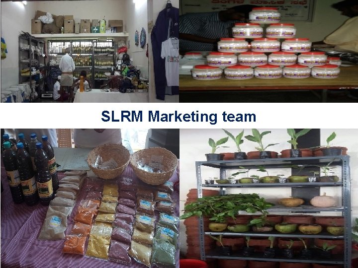 SLRM Marketing team 