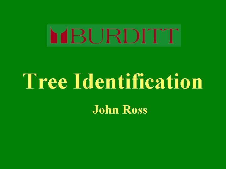 Tree Identification John Ross 