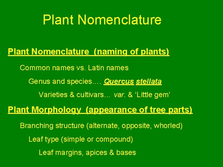 Plant Nomenclature (naming of plants) Common names vs. Latin names Genus and species…. Quercus