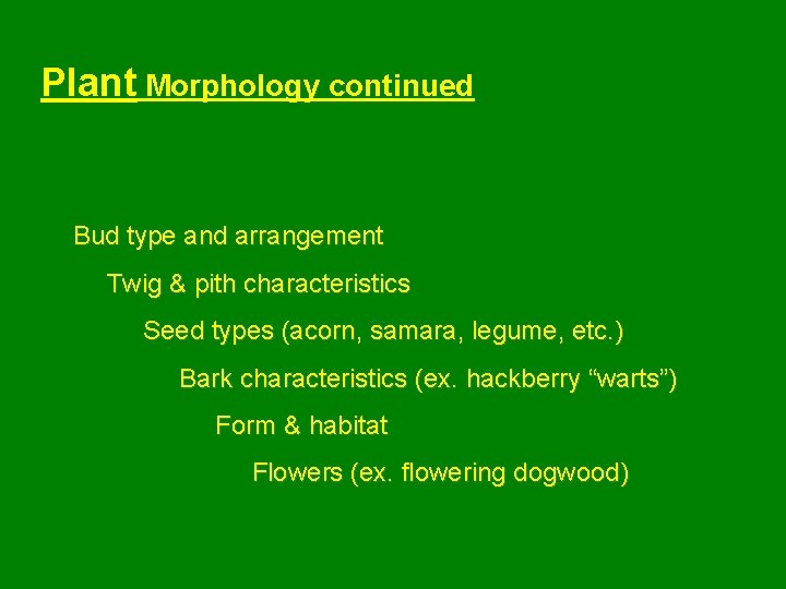 Plant Morphology continued Bud type and arrangement Twig & pith characteristics Seed types (acorn,