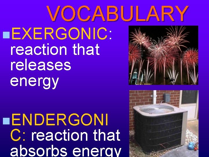 VOCABULARY n. EXERGONIC: reaction that releases energy n. ENDERGONI C: reaction that absorbs energy