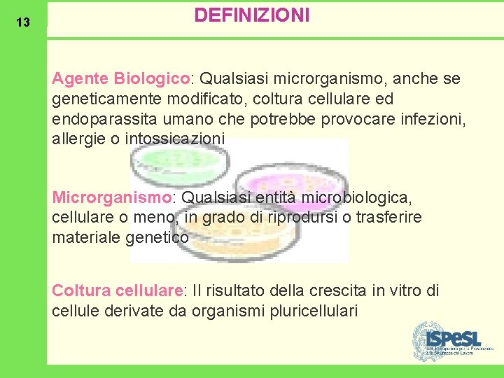 13 DEFINIZIONI Agente Biologico: Qualsiasi microrganismo, anche se geneticamente modificato, coltura cellulare ed endoparassita