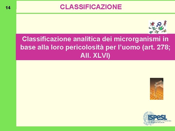 14 CLASSIFICAZIONE Classificazione analitica dei microrganismi in base alla loro pericolosità per l’uomo (art.