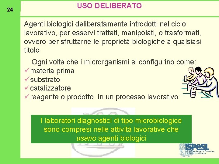 24 USO DELIBERATO Agenti biologici deliberatamente introdotti nel ciclo lavorativo, per esservi trattati, manipolati,