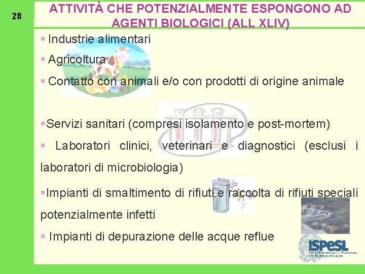 28 ATTIVITÀ CHE POTENZIALMENTE ESPONGONO AD AGENTI BIOLOGICI (ALL XLIV) § Industrie alimentari §