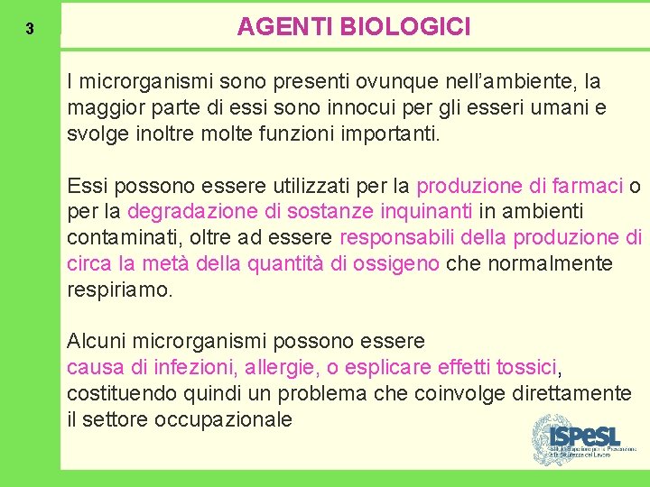 3 AGENTI BIOLOGICI I microrganismi sono presenti ovunque nell’ambiente, la maggior parte di essi