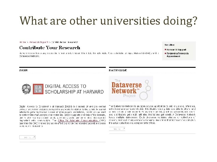 What are other universities doing? 