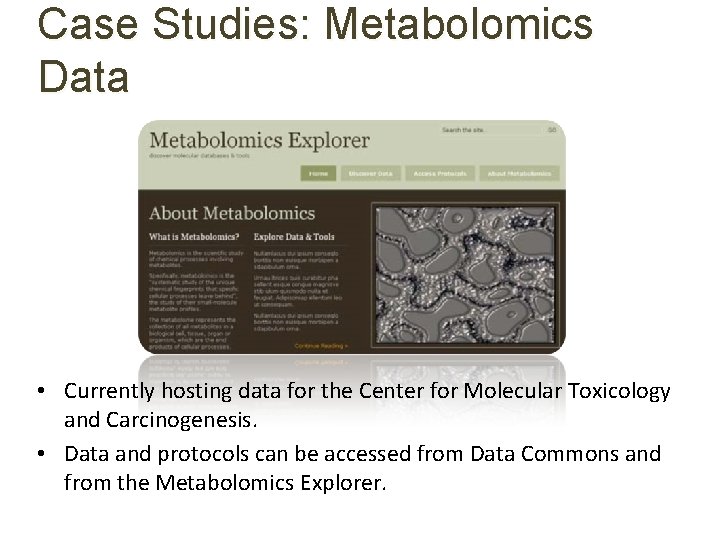 Case Studies: Metabolomics Data • Currently hosting data for the Center for Molecular Toxicology