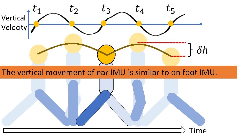 Vertical Velocity The vertical movement of ear IMU is similar to on foot IMU.