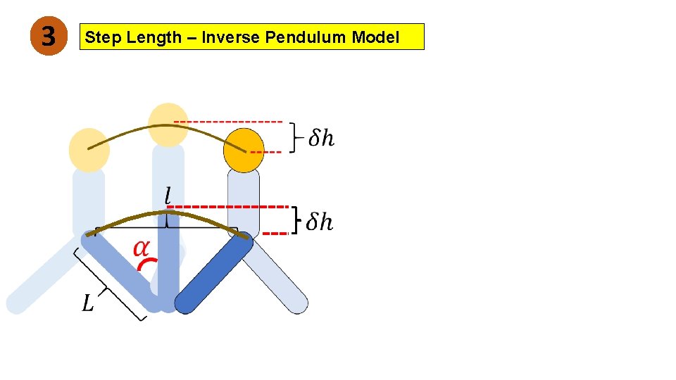 3 Step Length – Inverse Pendulum Model 