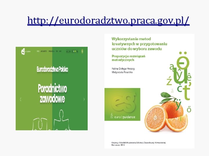 http: //eurodoradztwo. praca. gov. pl/ 