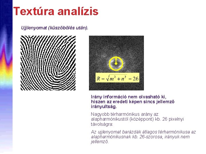 Textúra analízis Ujjlenyomat (küszöbölés után). Irány információ nem olvasható ki, hiszen az eredeti képen