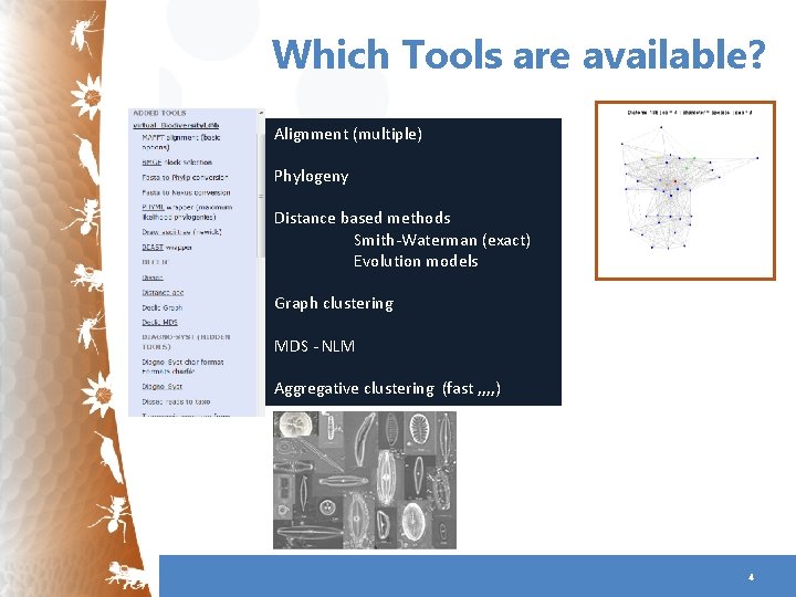 Which Tools are available? Alignment (multiple) Phylogeny Distance based methods Smith-Waterman (exact) Evolution models