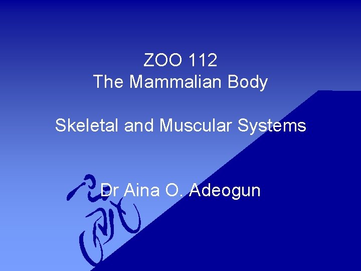 ZOO 112 The Mammalian Body Skeletal and Muscular Systems Dr Aina O. Adeogun 
