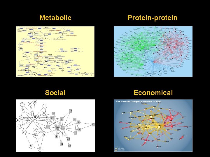 Metabolic Protein-protein Social Economical 