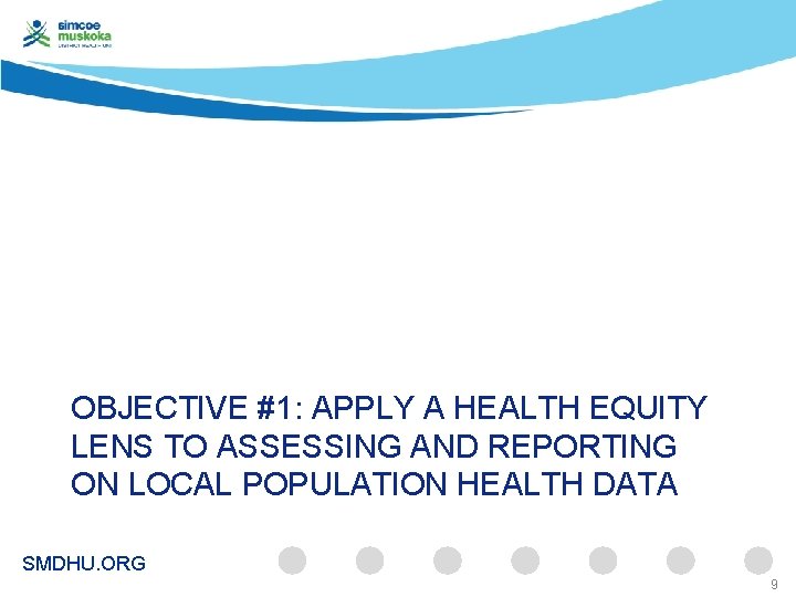 OBJECTIVE #1: APPLY A HEALTH EQUITY LENS TO ASSESSING AND REPORTING ON LOCAL POPULATION