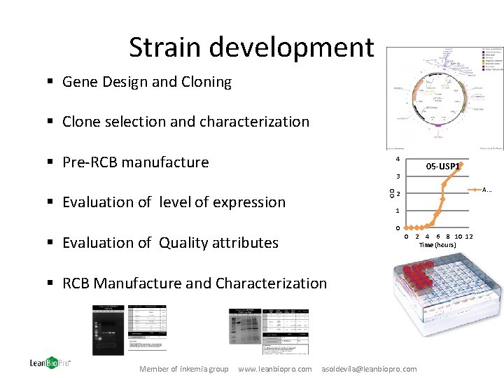Strain development § Gene Design and Cloning § Clone selection and characterization § Pre-RCB