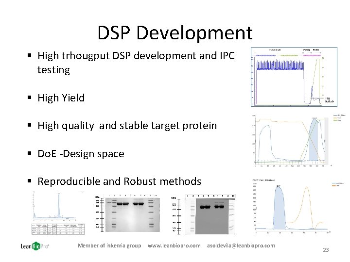 DSP Development § High trhougput DSP development and IPC testing § High Yield §