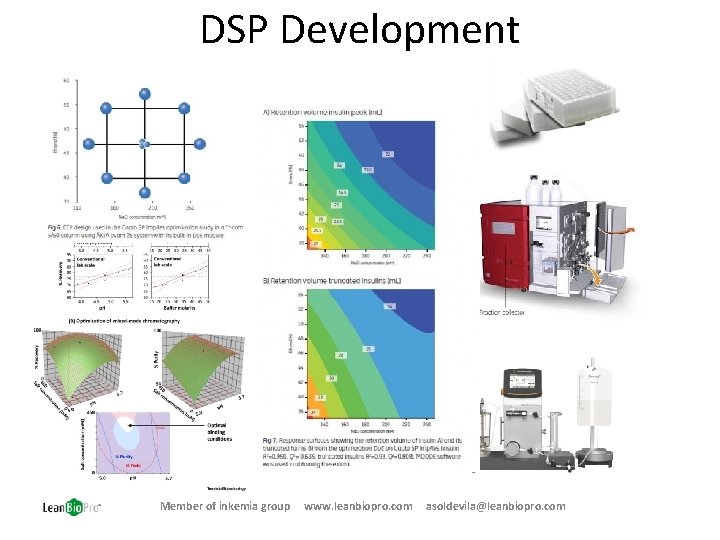 DSP Development Member of inkemia group www. leanbiopro. com asoldevila@leanbiopro. com 