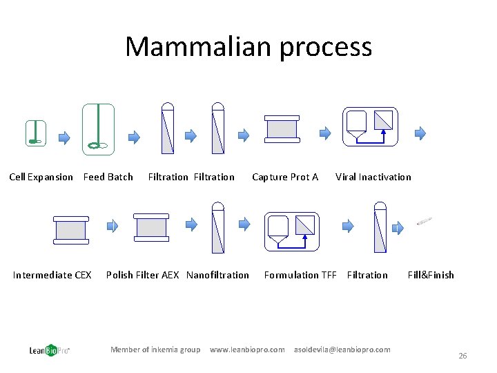 Mammalian process Cell Expansion Feed Batch Intermediate CEX Filtration Polish Filter AEX Nanofiltration Member