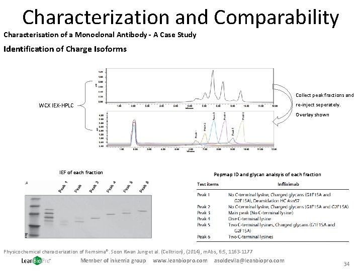 Characterization and Comparability Characterisation of a Monoclonal Antibody - A Case Study Identification of
