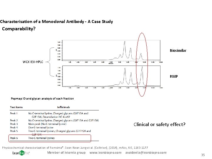 Characterisation of a Monoclonal Antibody - A Case Study Comparability? Biosimilar WCX IEX-HPLC RMP