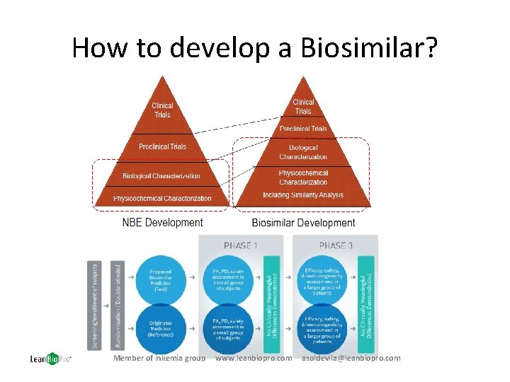 How to develop a Biosimilar? Member of inkemia group www. leanbiopro. com asoldevila@leanbiopro. com